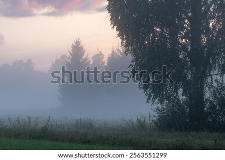 Similar – Foto Bild Wald in dichtem Nebel. Natur Landschaft Blick auf nebligen Wald im Herbst Saison