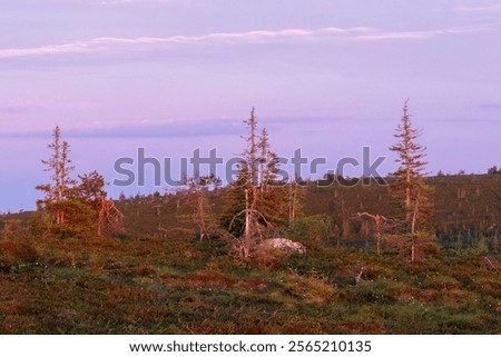 Similar – Image, Stock Photo Vibrant summertime landscapes in wisconsin