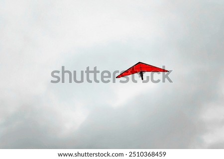Similar – Image, Stock Photo The red kite glides elegantly through the air. The sky is cloudy, but he looks down spellbound.