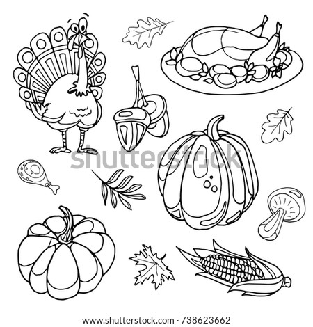 Hand draw set of thanksgiving day Thanksgiving turkey, pumpkin, vegetables harvest,  corn. Decoration symbol elements for your design.