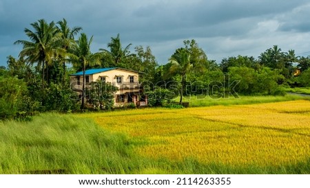 Traditional Indian village house surrounded by green grass and beatiful cloudy sky. Village landscape. Stock foto © 