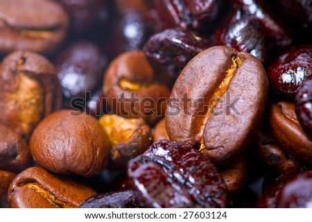 Macro shot of many coffee brown beans