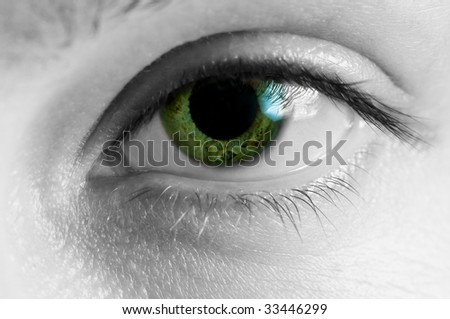 Macro view of one human female green eye