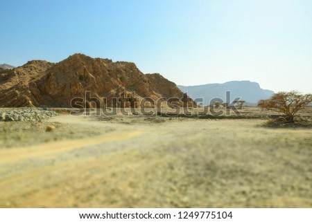 Arid mountain landscape of Ras Al Khaimah in U.A.E. mountains, trees and desert. Zdjęcia stock © 