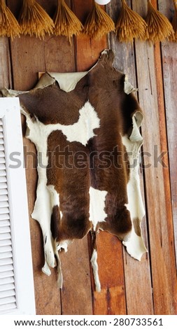 Cow leather hanging on wooden wall