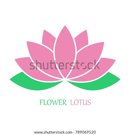 Vector Beautiful Pink Lotus Flower | Download Free Vector Art | Free