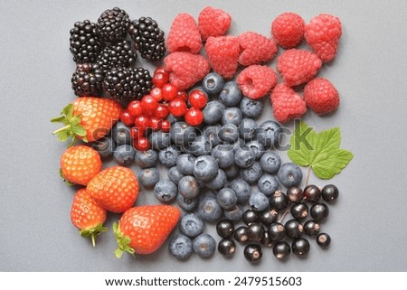 Similar – Foto Bild Frische Heidelbeeren, rote Johannisbeeren und Himbeeren, Seitenansicht mit Platz für Text