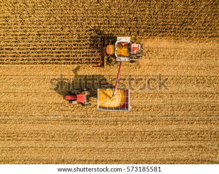 Similar – Foto Bild Draufsicht auf Mähdrescher, Erntemaschine, erntereife Sonnenblume