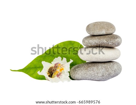 Sea stones with leaf isolated on white background. Concept of harmony and tranquility. Foto stock © 