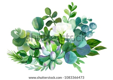 bouquet of flowers, watercolor painting,  eucalyptus leaves, white carnations, succulent, buds, hand drawing