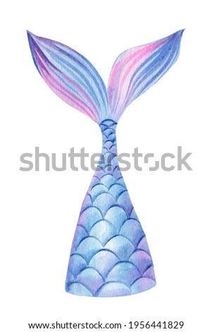 Mermaid tail on an isolated white background. Watercolor drawing, children's illustration