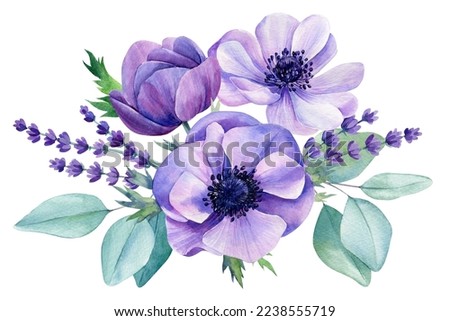 Beautiful delicate flowers. Watercolor illustrations of anemone flowers, eucalyptus leaves. Floral design