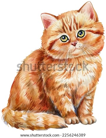 Beautiful red cat on an isolated white background. watercolor illustration, cute kitten hand drawing