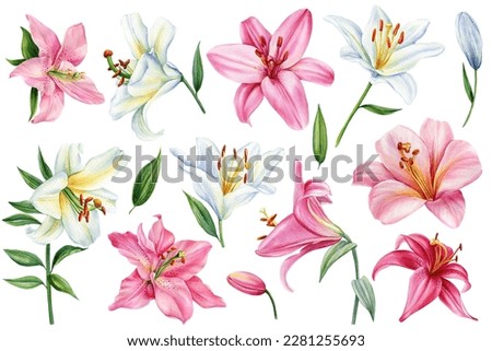 Similar – Image, Stock Photo Floral realistic painting of a bunch of daisy flowers on dark background, moody botanical concept.