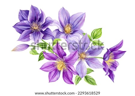 Similar – Foto Bild blühende Clematis in der Hecke