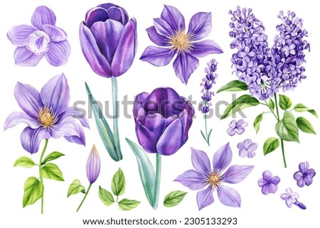 Similar – Foto Bild violette Tulpenblüte