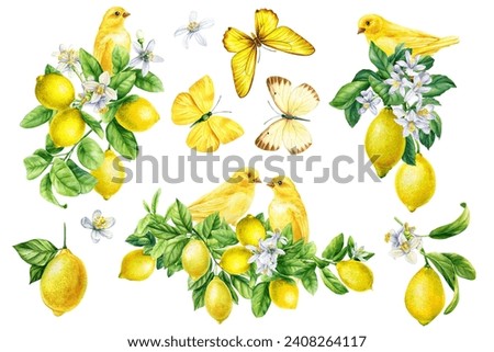 Similar – Image, Stock Photo Butterfly on a branch