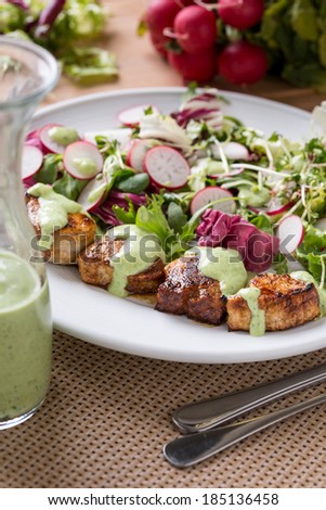 prepared chicken pieces, sauce and green salad and radish on white plate