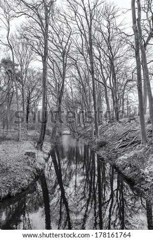 One of the canals in Clingendael park in the Hague, Netherlands (black and white)