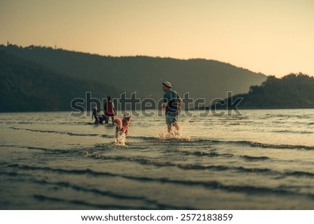 Similar – Image, Stock Photo Tropical dog family