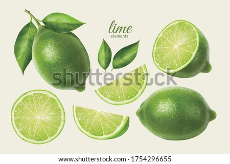 3d illustration of fresh lime set, with various view of whole lime fruit, halves and slices, isolated on light yellow background