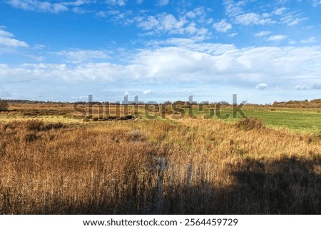 Similar – Image, Stock Photo special trees Idyll