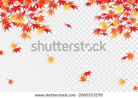 Autumn branches on a transparent background. The time of leaf fall. The red leaves of the Japanese maple fall down, fluttering in the wind. Vector illustration.