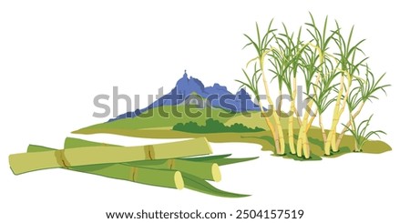 Sugarcane fields with famous Pieter Both mountain in the background. Vector landscape of Moka mountain range, tourist attraction of Mauritius island. Horizontal illustration of landmark in flat style.