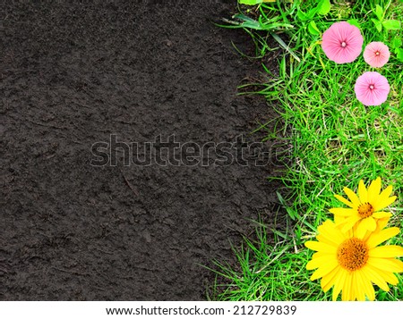 Summer background with green grass, flowers and soil