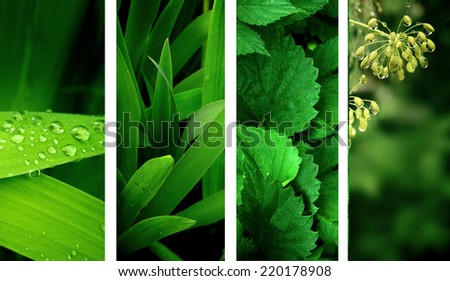 Collection of nature banners. Rain drops on a green leafs
