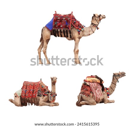 Similar – Image, Stock Photo Clothes horse with colorful linen