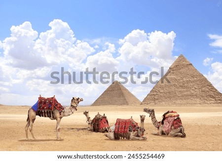 Similar – Image, Stock Photo Clothes horse with colorful linen