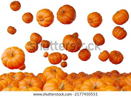 Halloween pumpkin. Orange pumpkins for all saints day. Pumpkins on isolated on white. Halloween banner template. Gourd for making jack lanterns. Gourd fall down in heap. 3d rendering. Foto stock © 
