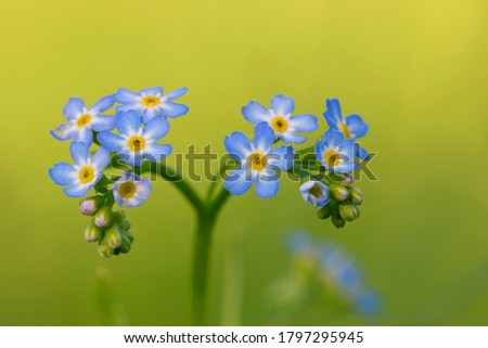 Shutterstock Puzzlepix