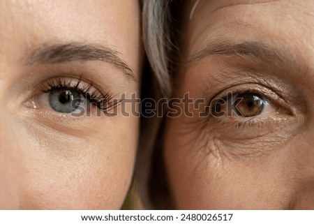 Similar – Image, Stock Photo Close up of different light decoration souvenirs sold in Chatuchak Market in Bangkok Thailand