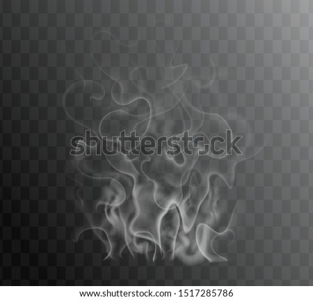 Transparent special effect of hot steam for cafe menu food, meal, tea, coffee, bbq and steak. Vector gas, smoke, fog, fume isolated on dark background. Realistic wavy elements web, print, hookah promo