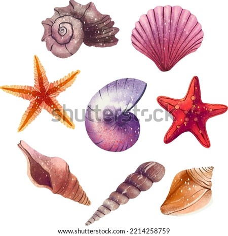 Illustration set of shells painted star sea shell clam pearl sea treasures digital