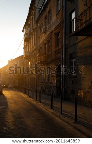 Similar – Image, Stock Photo Avenue without end. A beautiful avenue with trees on the left and right.