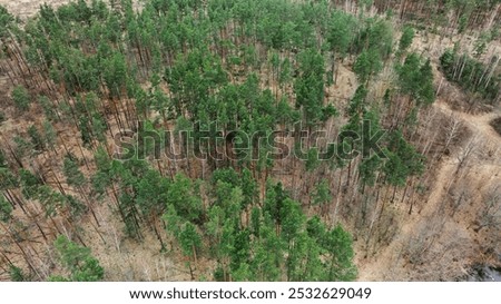 Similar – Image, Stock Photo Aerial View. Spring Dry Grass Burns During Drought Hot Weather. Bush Fire And Smoke In Forest. Wild Open Fire Destroys Grass. Nature In Danger. Ecological Problem Air Pollution. Natural Disaster.