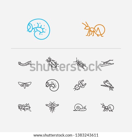 Insect icons set. Dragonfly and insect icons with stag beetle, snail and honey ant. Set of life for web app logo UI design.