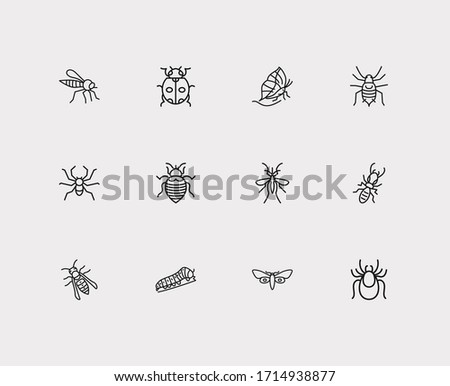 Beetle icons set. Termite and beetle icons with mosquito, aphid and wasp. Set of pernicious for web app logo UI design.