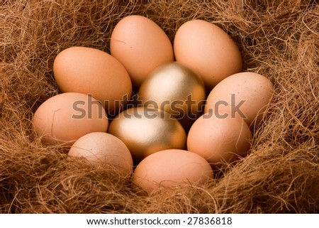 two golden eggs between eight ordinary ones in nest. Just want to bring out the concept of probability 2:8.