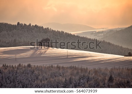 Snowy mountain in Muszyna - Poland. Zdjęcia stock © 