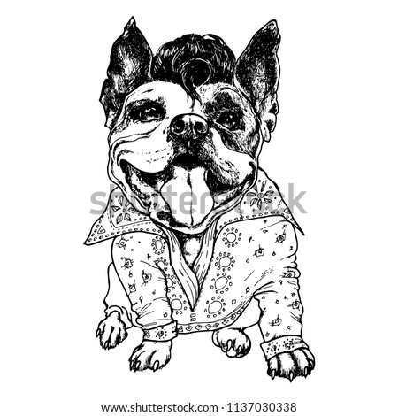 Funny american bully dog with Elvis costume. Vector illustration