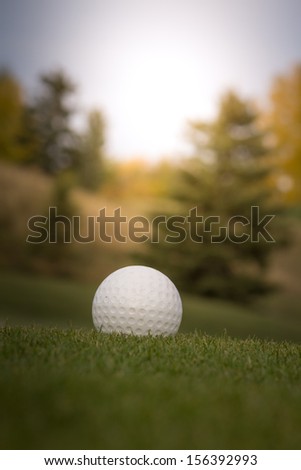 Golf ball on green over a blurred green. Shallow depth of field. Focus on the ball
