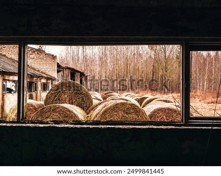 Similar – Image, Stock Photo View through window without glass in old wall