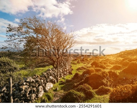 Similar – Foto Bild Connemara Natur Landschaft