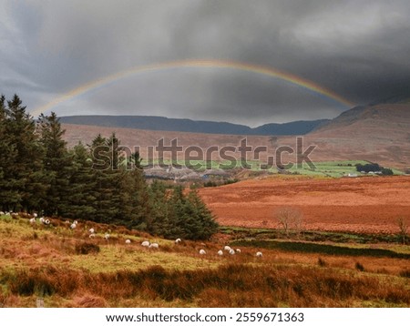 Similar – Foto Bild Connemara Natur Landschaft