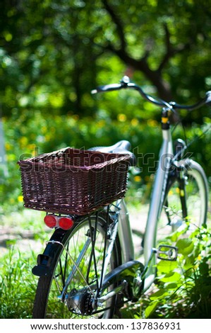 Elegant ladies\' city bike with a basket near a tree in the green forest, close-up