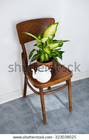 Vintage enamel tea pot and green home plants on an old wooden chair, cozy decor for summer balcony interior.